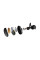 Bose QuietComfort Earbuds Black